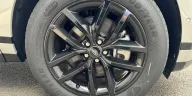 Visuel 11 - Land Rover Range Rover Evoque II P300E PHEV AWD BVA8 Dynamic SE